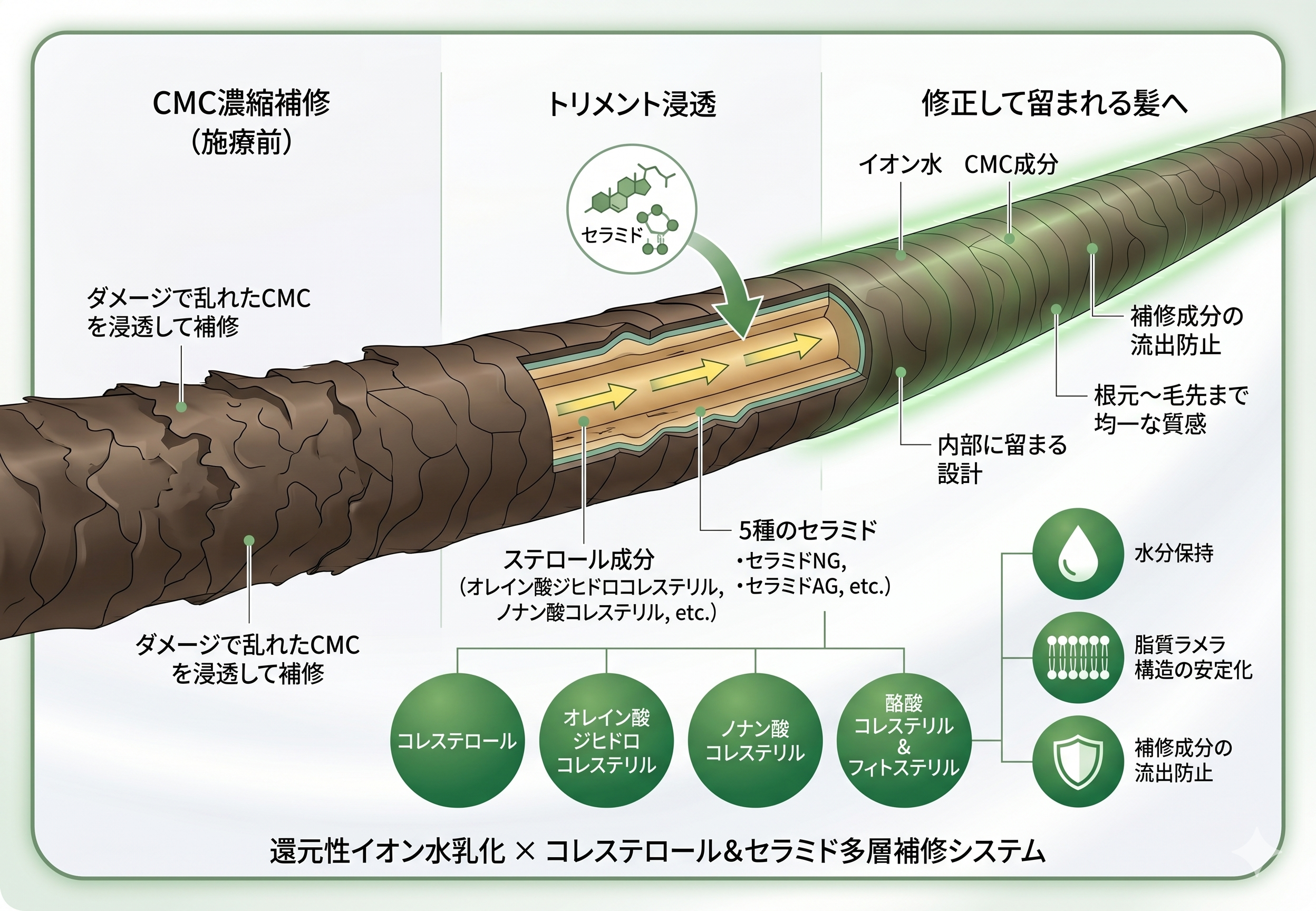 内部定着のイラスト