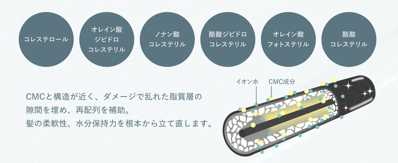 CMC集中補修成分と髪の内部イメージ